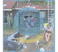 Wavers - Look What I Found [VINYL]