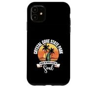 Waves - Crystal Cove State Park Case for iPhone 11