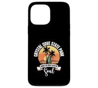 Waves - Crystal Cove State Park Case for iPhone 13 Pro Max
