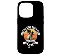 Waves - Crystal Cove State Park Case for iPhone 14 Pro
