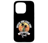 Waves - Crystal Cove State Park Case for iPhone 15 Pro