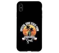Waves - Crystal Cove State Park Case for iPhone XS Max