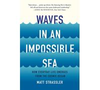 Waves in an Impossible Sea : How Everyday Life Emerges from the Cosmic Ocean