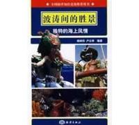 waves of the sea between the scenery unique style (paperback)(Chinese Edition)
