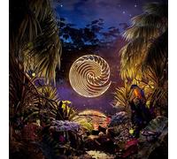 Waves Rush In - Under The Static [VINYL]