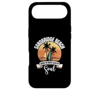 Waves - Sandbridge Beach Case for iPhone Air