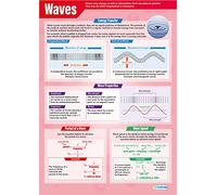 Waves | Science Posters | Laminated Gloss Paper measuring 850mm x 594mm (A1) | Science Charts for the Classroom | Education Charts by Daydream Education