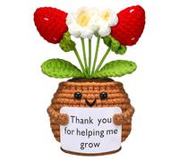 Wavwavw Teacher Appreciation Gifts Positive Handmade Crochet Flower Doll with Card Thank You for Helping Me Grow Thank You Gifts for Teacher Birthday Christmas Home Office Decor(Strawberry Flower)