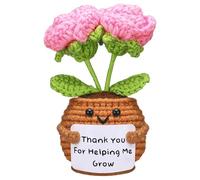 Wavwavw Teacher Appreciation Gifts Positive Handmade Crochet Flower Doll with Card Thank You for Helping Me Grow Thank You Gifts for Teacher Birthday Christmas Home Office Decor(Pink Rose Flower)