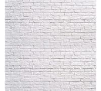 WaW 10x10ft Studio Backdrop White Rustic Brick Background Photography for Adult Portrait Photoshoot