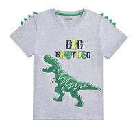 WAWSAM Dinosaur Big Brother Announcement T Shirt Sibling Outfits for Toddler Boys