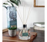 Wax Lyrical 200ml Reed Diffuser - Eucalyptus Spa