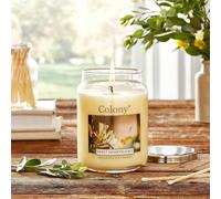 Wax Lyrical Candle Colony Sweet Honeysuckle 475g