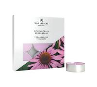 Wax Lyrical Echinacea & Elderberry Pack of 9 Tealights