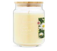 Wax Lyrical Large 475g Wax Filled Jar Daisy Chain