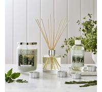 Wax Lyrical Reed Diffuser Colony Herb Garden 200ml