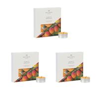 Wax Lyrical Sunlit Apricot Tealights, Orange (Pack of 3)
