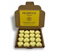 Wax Melts - Lemongrass and Ginger | 16 Pack | Strong Scented | Made in The UK | Plastic Free | Vegan