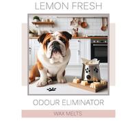 Wax Melts - Odour Eliminator - Strong Scented - Handmade in The UK (Lemon Fresh)