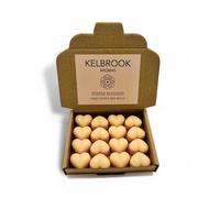 Wax Melts - Orange Blossom | 16 Pack | Strong Scented | Made in The UK | Plastic Free | Vegan