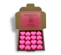 Wax Melts - Snow Pixie | 16 Pack | Strong Scented | Made in The UK | Plastic Free | Vegan (Fairy in The Snow)