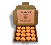 Wax Melts - Winter Spiced Orange | 16 Pack | Strong Scented | Made in The UK | Plastic Free | Vegan