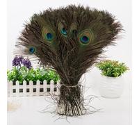 WAXCMXYH Peacock Set, Natural Real Peacock Eye Feathers, Tail Feathers For Wedding, and Decoration Holiday Party