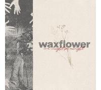 Waxflower – We Might Be Alright – Membran