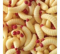 Waxworms & Fake Maggots - Realistic Soft Fishing Lures for Crappie, Trout, Panfish, Bluegill & Perch - Artificial Worms for 1/64-1/80 oz Jig Heads or Floats (50 Pack)