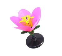 Wayfadacc Modular Educational Flower Structure Model Realistic Color Accuracy Biology Teaching Tool For Students Age 12 18