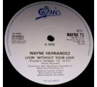 Wayne Hernandez - Livin' Without Your Love (x2+1) [Vinyl Single]