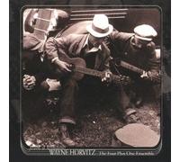 Wayne Horvitz - From a Window