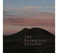 Wayne Horvitz - The Snowghost Sessions