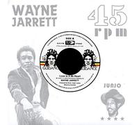 Wayne Jarrett - Love In A Mi Heart [7 Inch Vinyl]