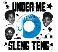 Wayne Smith - Under Me Sleng Teng [VINYL]