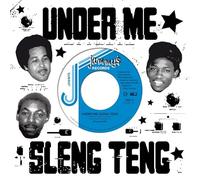 Wayne Smith - Under Me Sleng Teng - Vinyl Record 7 - G3z