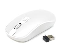 Waytex 65421 2.4GHz Wireless Computer Mouse with Nano USB Receiver and Adjustable Sensitivity up to 1600 DPI Signal Range up to 10 m Optical Technology - White