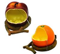 WAYUTO 2Pcs Bird Feeding Dish Cups with Fruit Shaped Textures for Small Birds