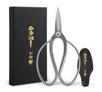 Wazakura Ishihara Sensei Bonsai Scissors 180mm (7.09") Made in Japan, SLD Alloy Tool Steel Precision Pruning Shears, Japanese Bonsai Tools - Stainless Finish