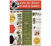 WB8 Vintage WW2 Dig For Victory Grow For Winter & Summer Vegetables British WWII War Poster Re-Print - A3 (432 x 305mm) 16.5" x 11.7"