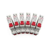 WBBAYDRFR 10pcs DZ30-32 DPN 1P+N Mini Circuit Breaker MCB 6A-20A 25A 32A Din Rail Mounting Cutout Miniature Household Air Switch(25v)