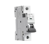 WBBAYDRFR 10pcs GYM9 1P 6KA Breaking Capacity MCB Din Rail 220V 400V Mini Circuit Breaker 6A-63A AC Type(16a)