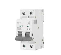 WBBAYDRFR 125 DC MCB 2Pole 500VDC Mini Circuit Breaker 80A 100A 125A 6KA 1Pcs(80A)