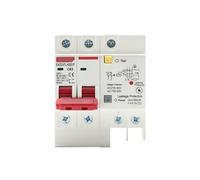 WBBAYDRFR 230V 2P SPD Residual Current Circuit Breaker with Overload Overvoltage RCBO RCCB with Protection MCB Leakage Protector 1Pcs(50A)