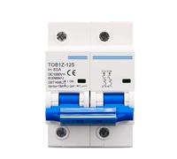 WBBAYDRFR 2P 1000V DC MCB 80A 100A 125A Circuit Breaker C Curve Battery Main Switch 1Pcs(100A)