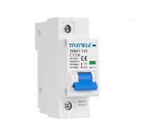 WBBAYDRFR AC MCB 2P 230V Mini Circuit Breaker Air Switch 80A 100A 125A Overload Short Circuit Protect Protection Breaking Capacity 10KA(25v,1P)