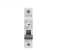 WBBAYDRFR GYM9-125 DC MCB Single Phase Mini 80A 100A 125A 1P Breaker Width 17.8mm 250VDC 6KA 1Pcs(80a)