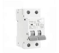 WBBAYDRFR GYR9NM AC Type 2P 4P Magnetic with Over Current and Leakage Din Rail 10A 16A 25A 32A 40A 1Pcs(100mA,2P 10A)