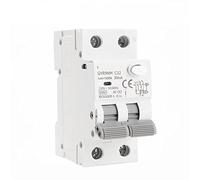 WBBAYDRFR GYR9NM AC Type RCBO Magnetic Circuit Breaker with Over Current and Leakage Protection Din Rail 10A 16A 25A 32A 40A 1Pcs(100mA,2P 10A)