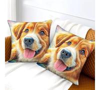 WBCFGHJKN Golden Retriever 2 Pieces Throw Pillow Covers, Microfiber Square Cushion Cases, Solid Color Contemporary Design with Concealed Zipper, for Bed Couch Office Indoor Use 50x50cm